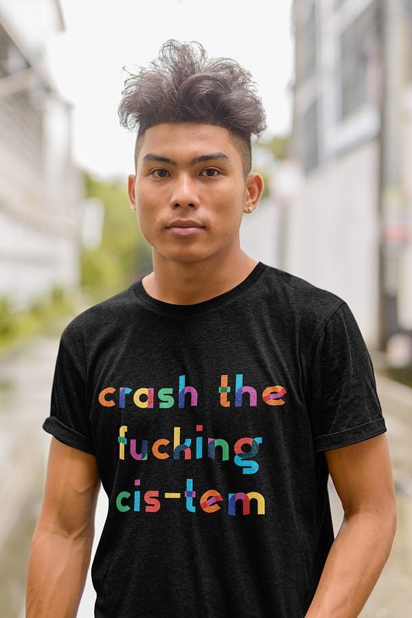Crash the CIStem LGBTQ+ Apparel - Queer Unisex Apparel