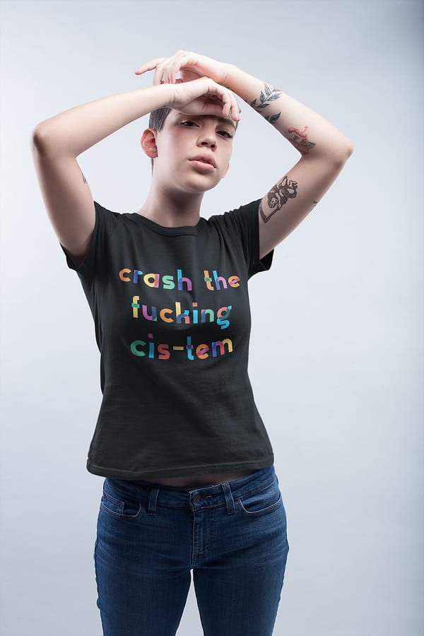 Crash the CIStem LGBTQ+ Apparel - Queer Unisex Apparel